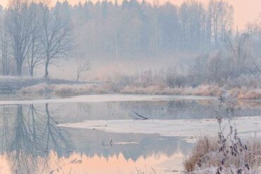 Winter deel 2 | Terugtrekken